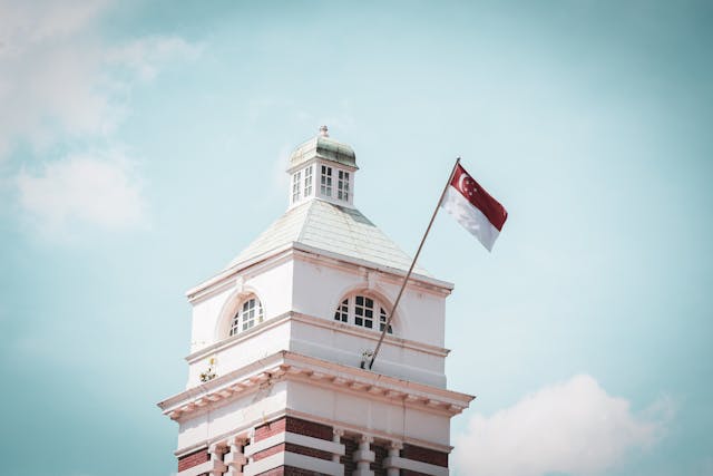 pexels-eterna-29595411